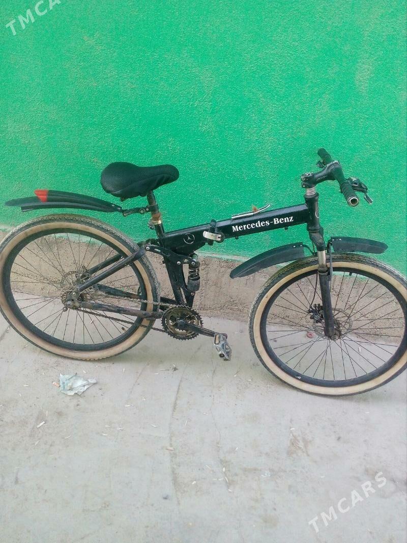 tigir - Bäherden - img 1