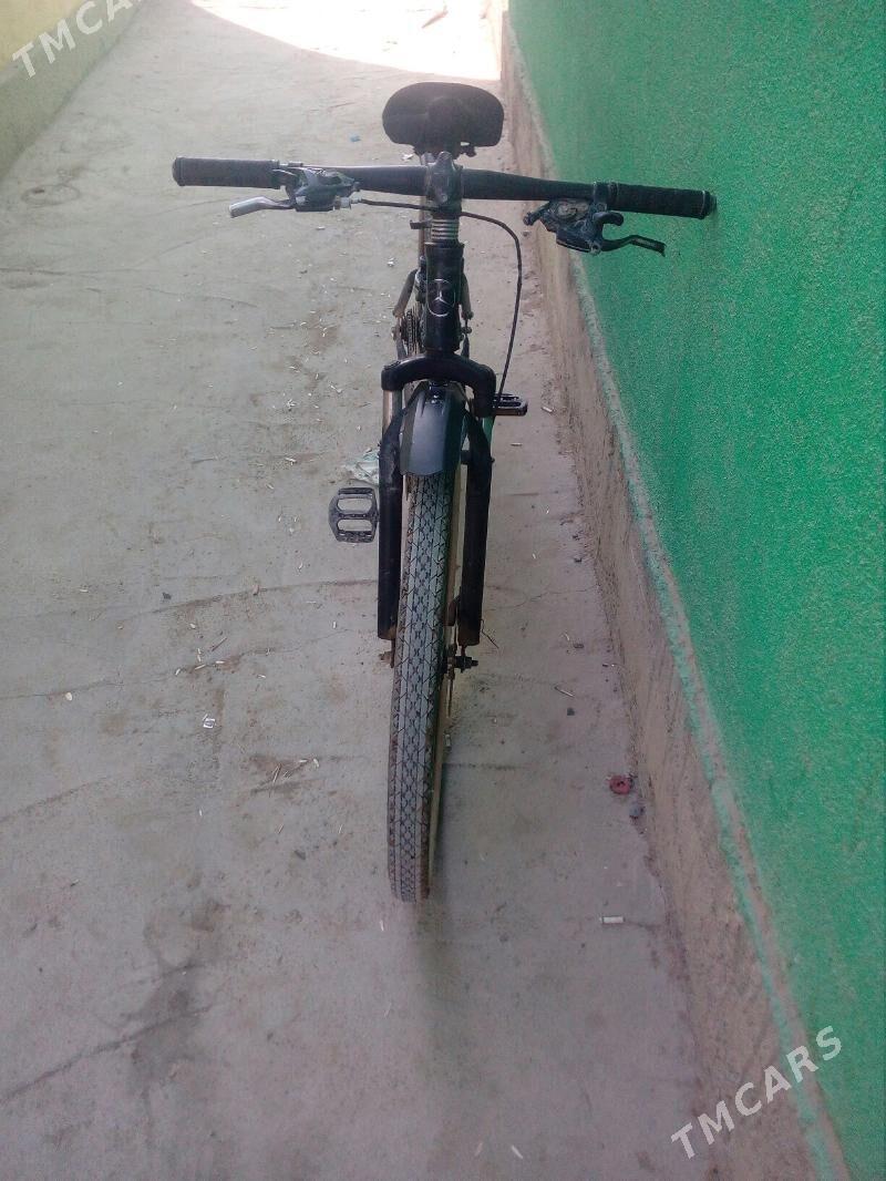 tigir - Bäherden - img 2