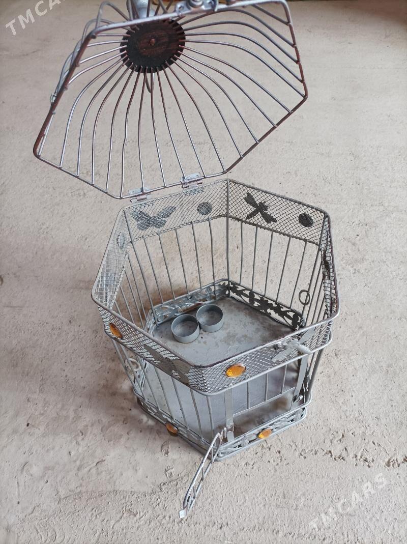 guş setka - Balkanabat - img 2