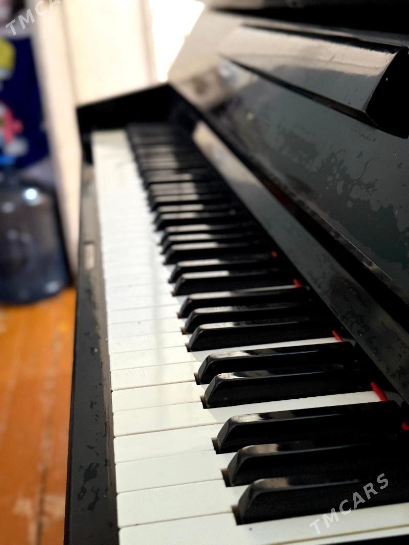 FORTEPIÝANO ADY: AKKORD - Туркменбаши - img 2