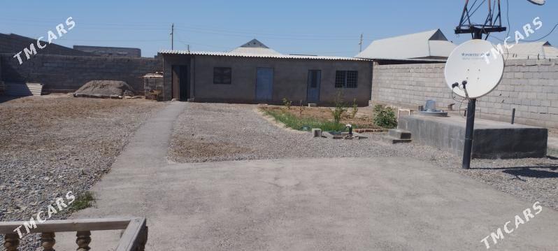 Satlym - Теджен - img 2