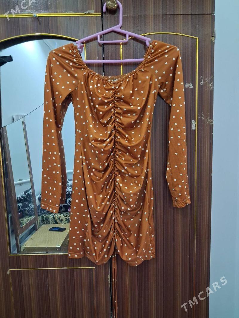 вичерний койнеклер - Дашогуз - img 6