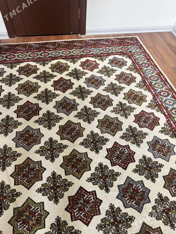 Haly - Köşi - img 1