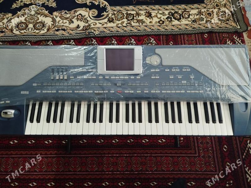 Korg pa800 - Мары - img 4