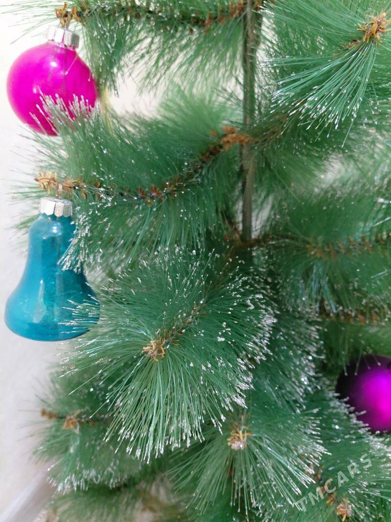 arça yolka - Balkanabat - img 2