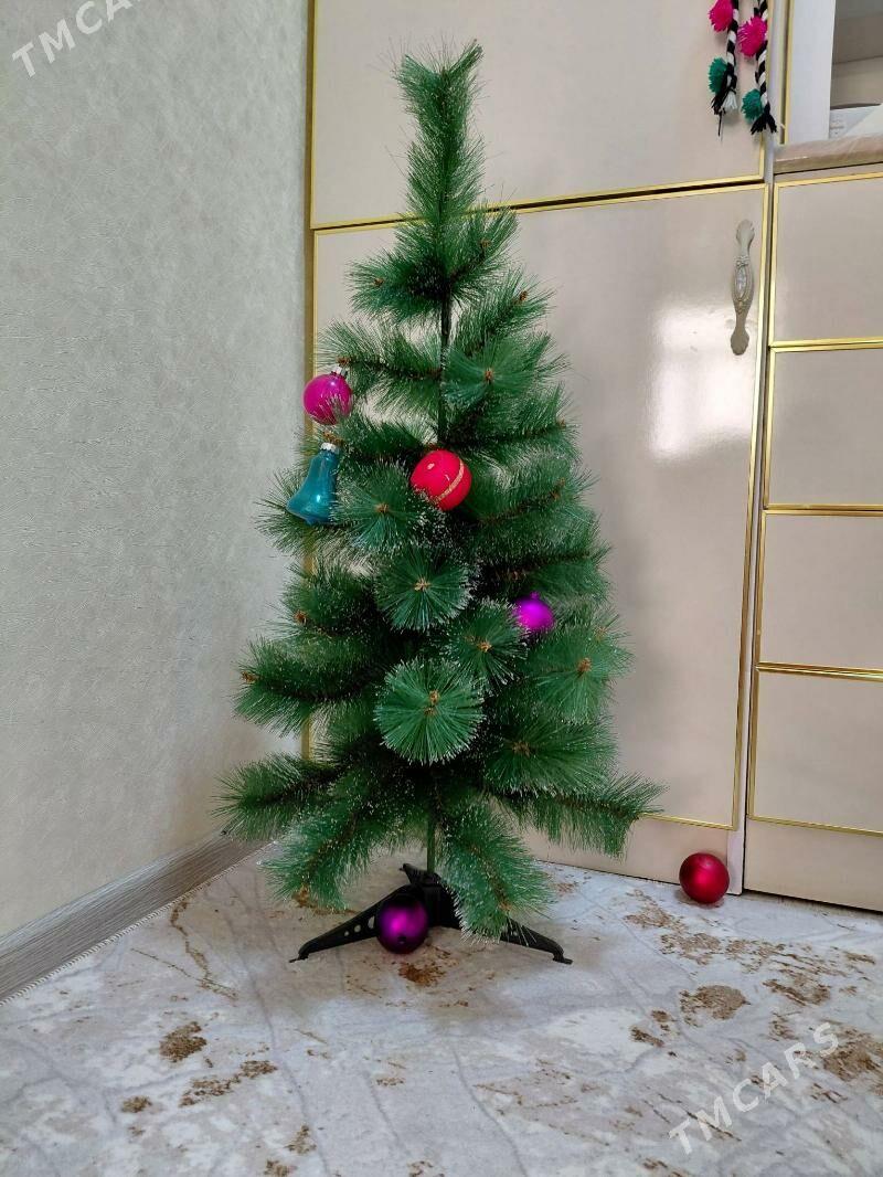 arça yolka - Balkanabat - img 1