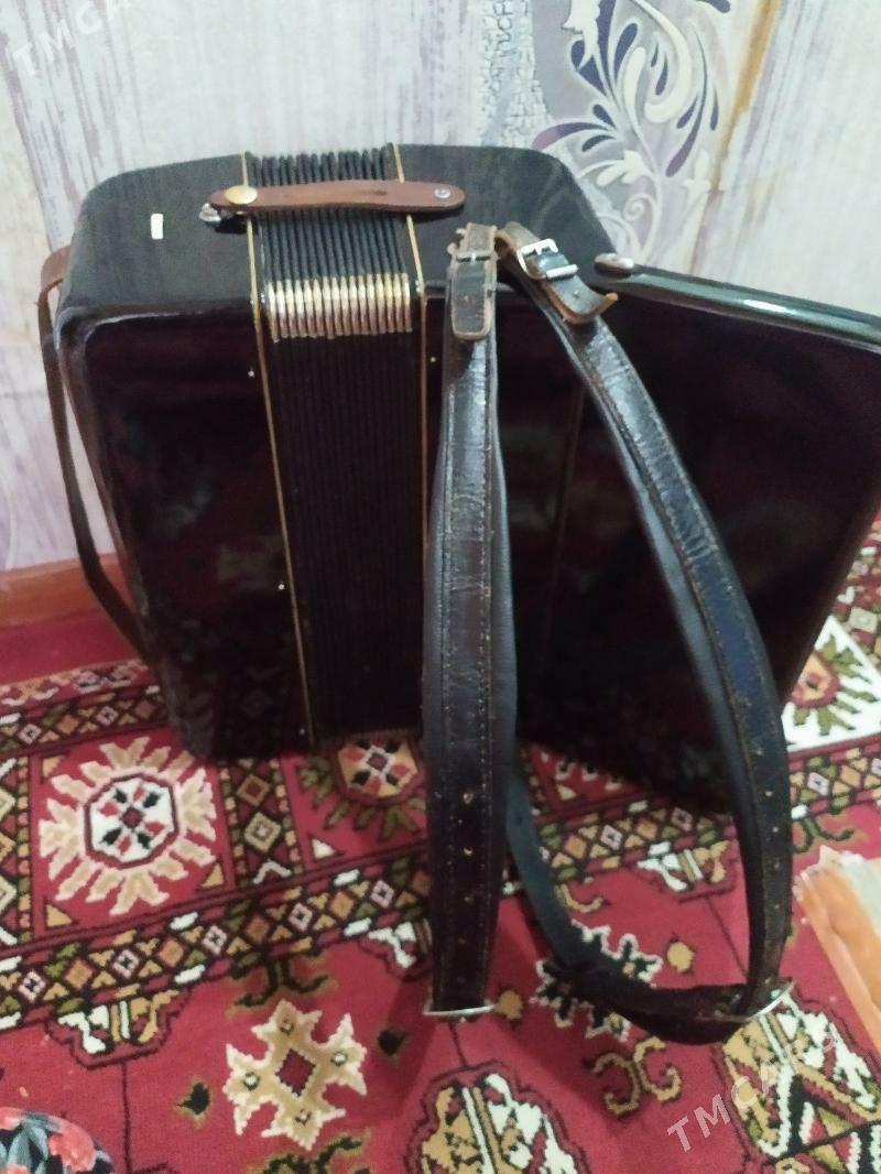 akkardeon Weltmeister - Туркменабат - img 3
