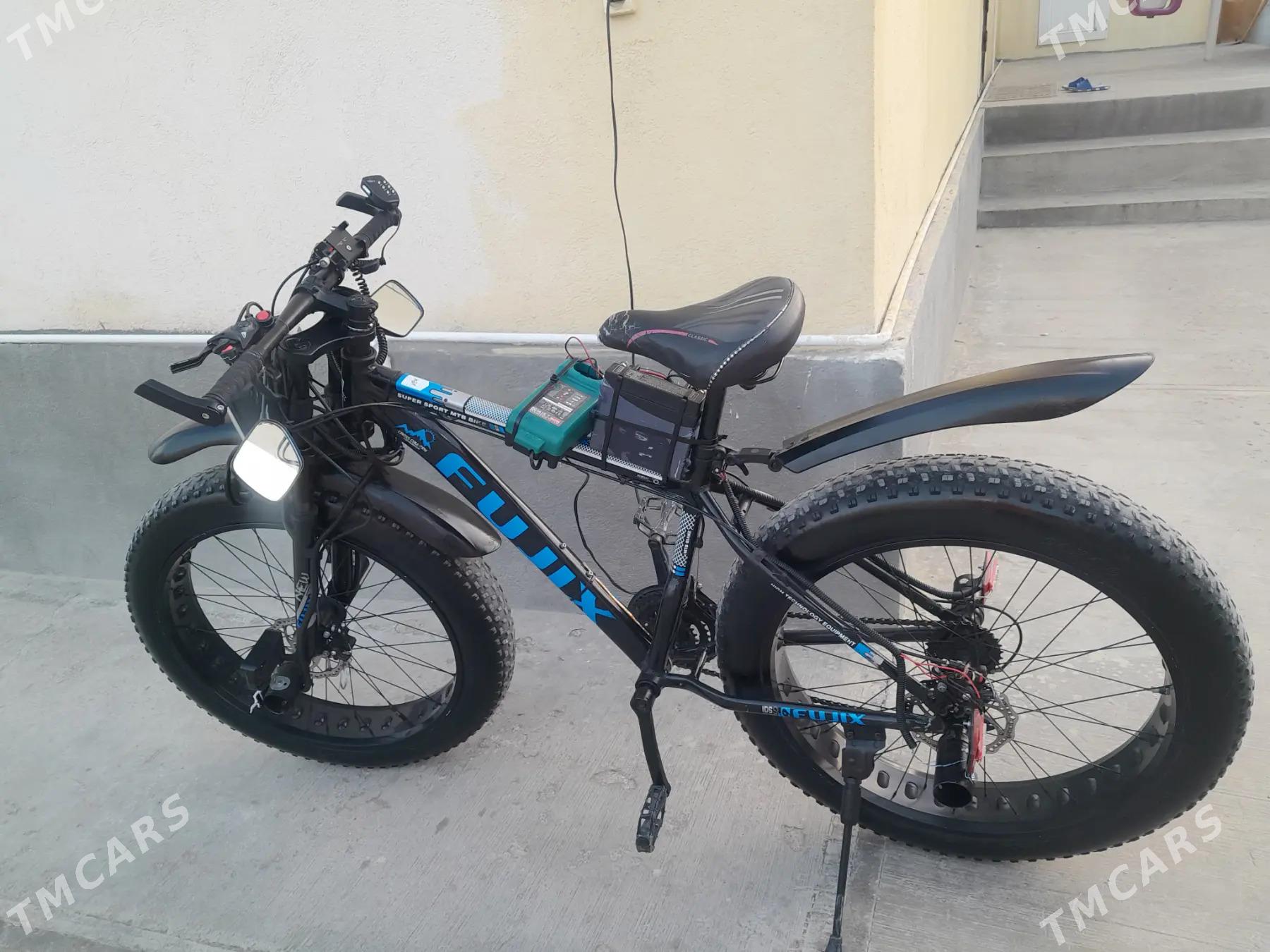 tigir - Köneürgenç - img 2