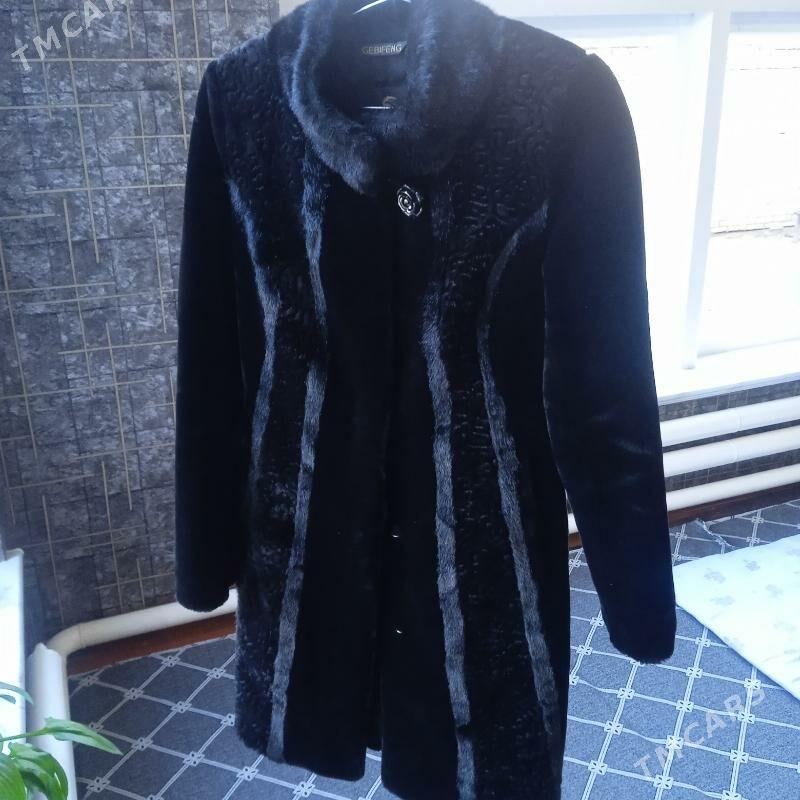 palto - Сакарчага - img 4