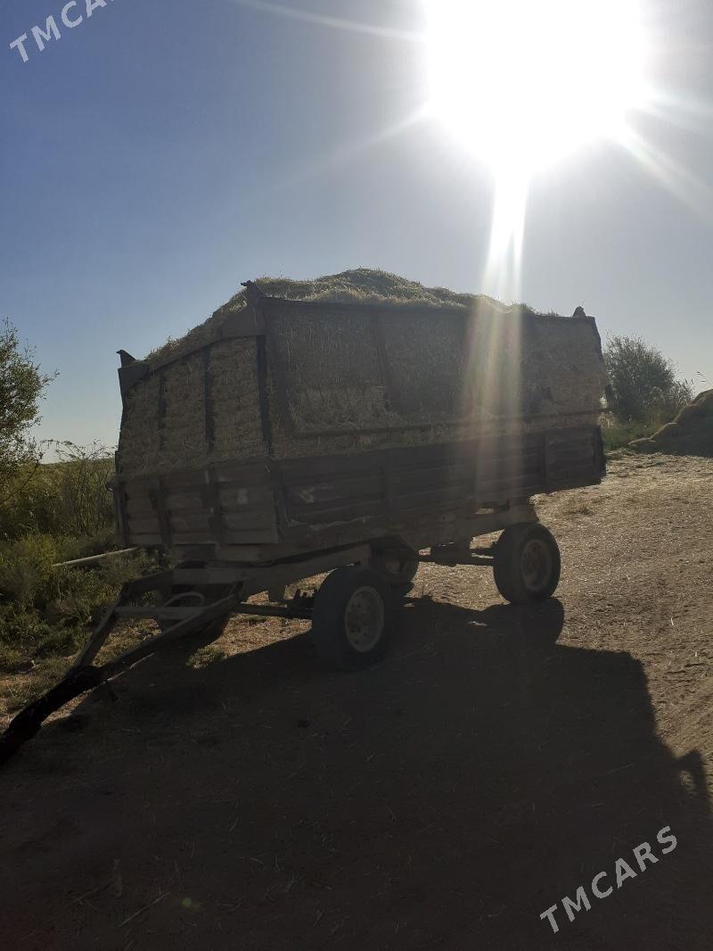 mallar un ot (gamys) - Мургап - img 2