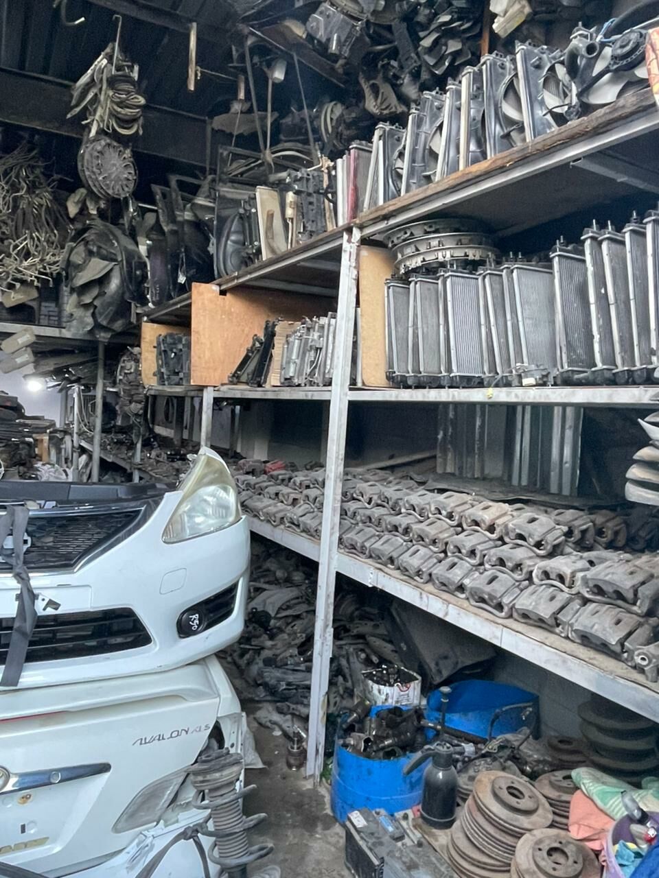 Nissan morda 1 TMT - Bedew - img 2