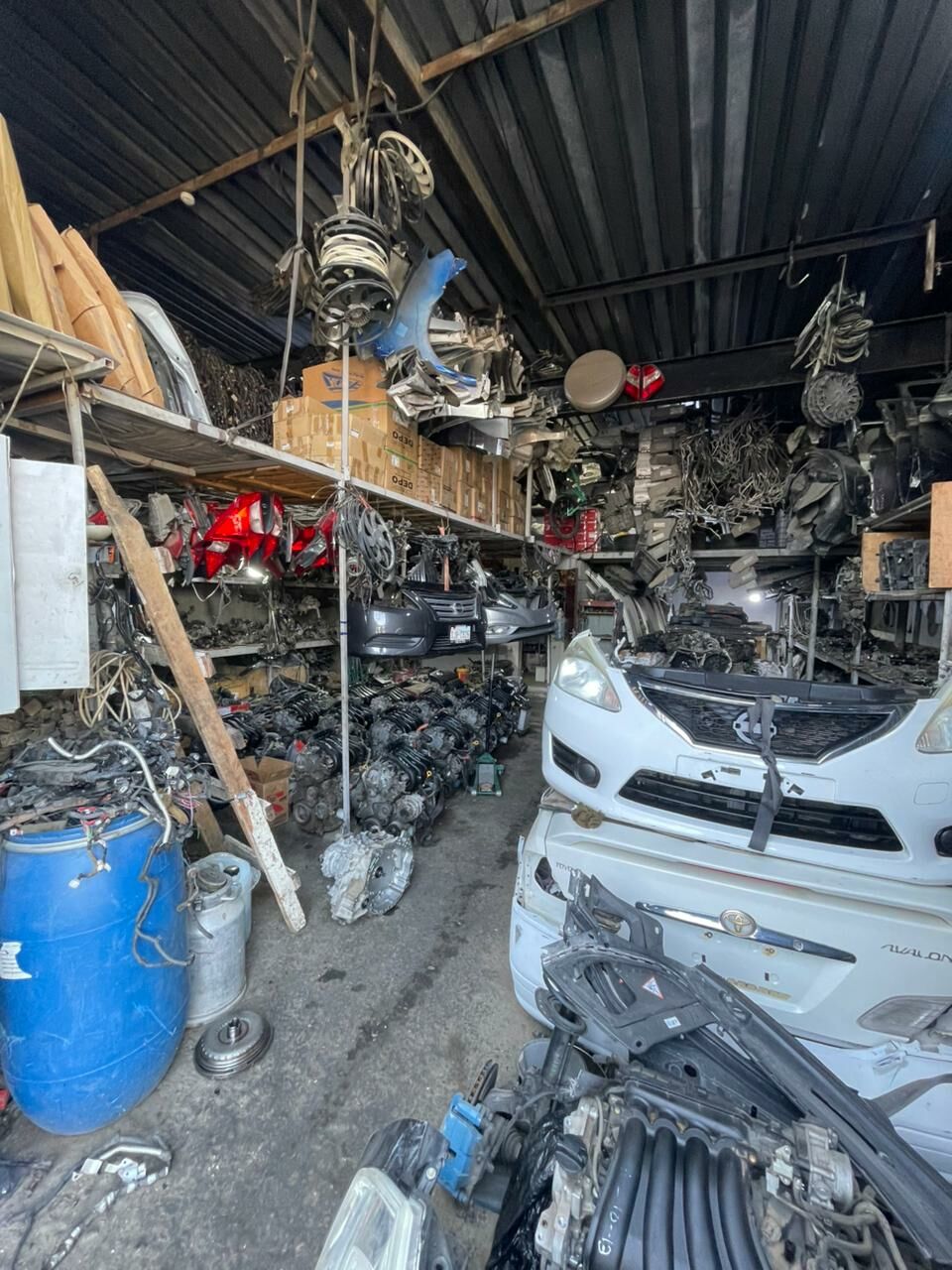 Nissan morda 1 TMT - Bedew - img 3