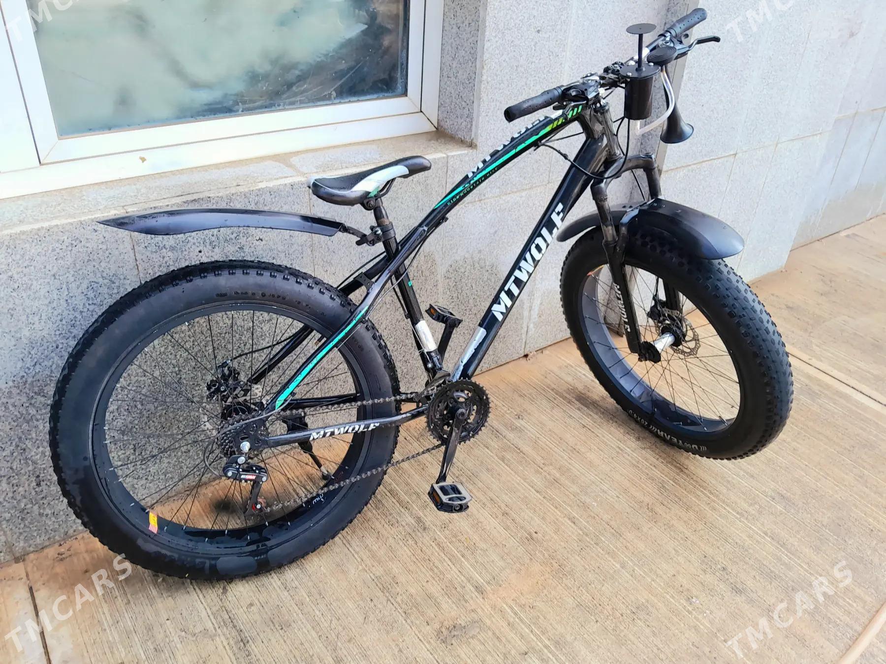 OLYMPIA - Кëши - img 2