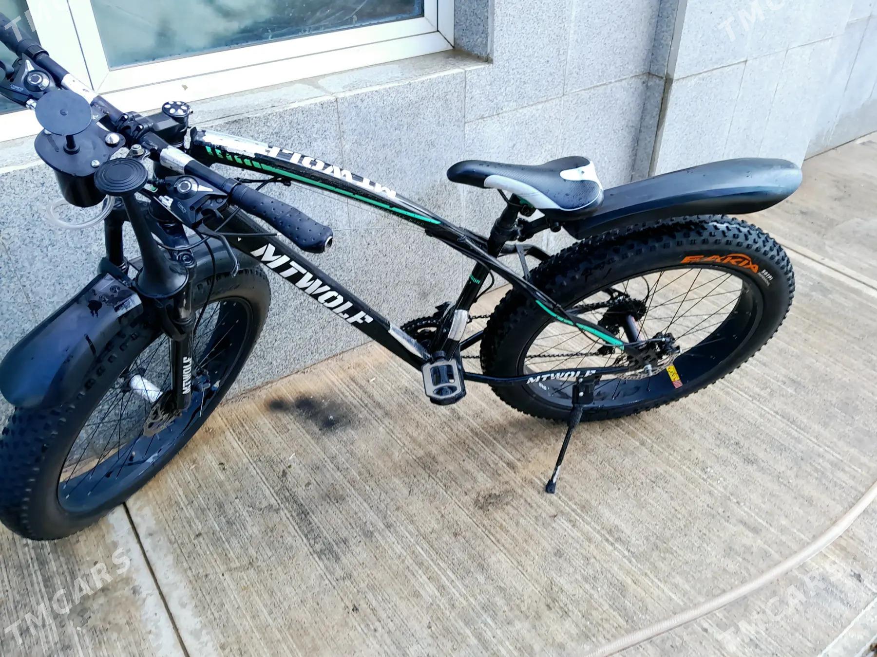 OLYMPIA - Кëши - img 1