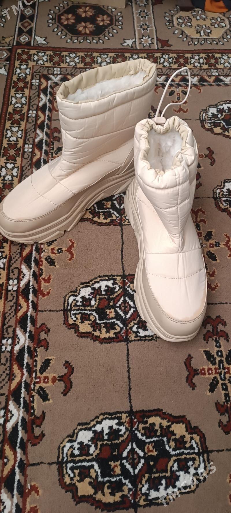 Edikler gara we maloçny - Туркменабат - img 4