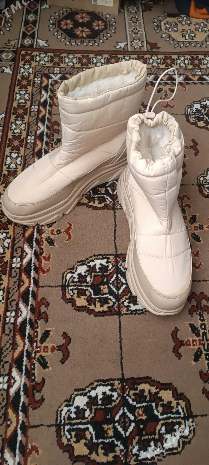 Edikler gara we maloçny - Туркменабат - img 2