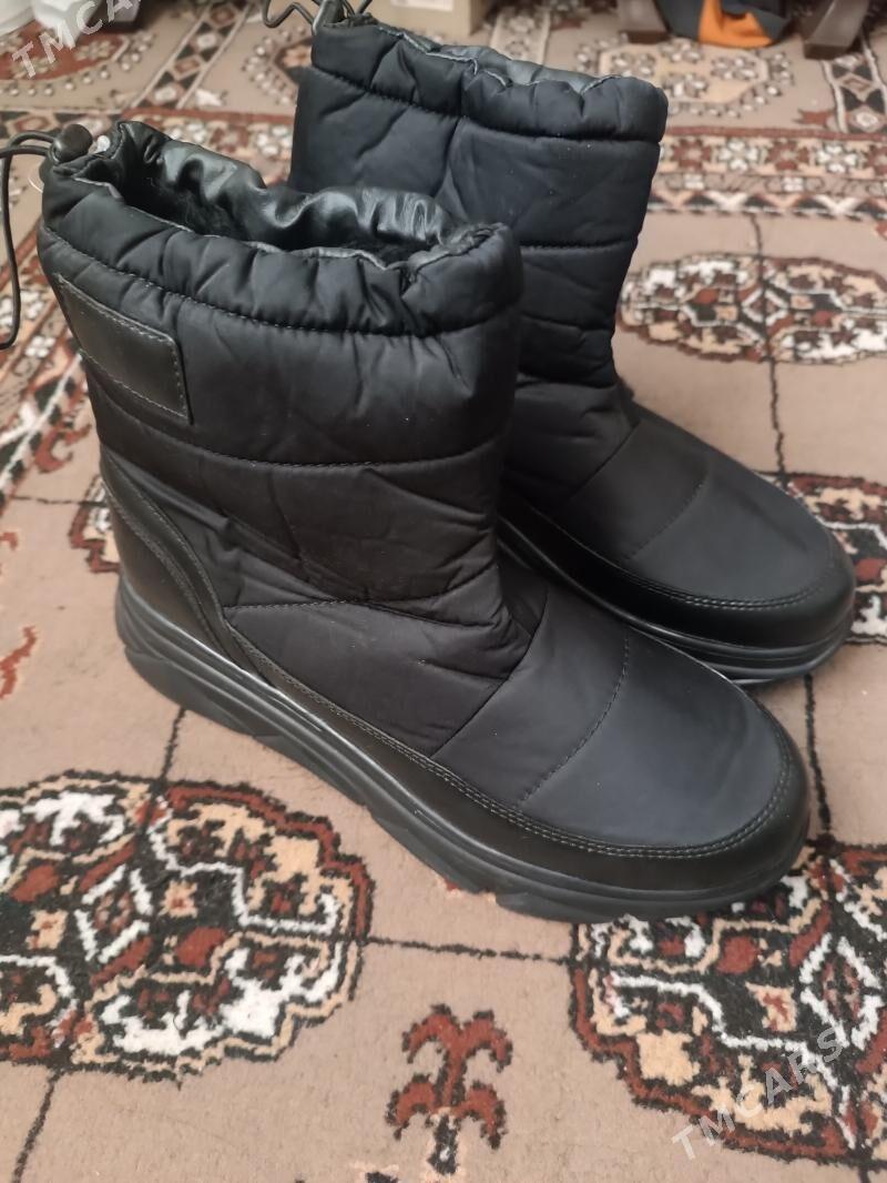 Edikler gara we maloçny - Туркменабат - img 3