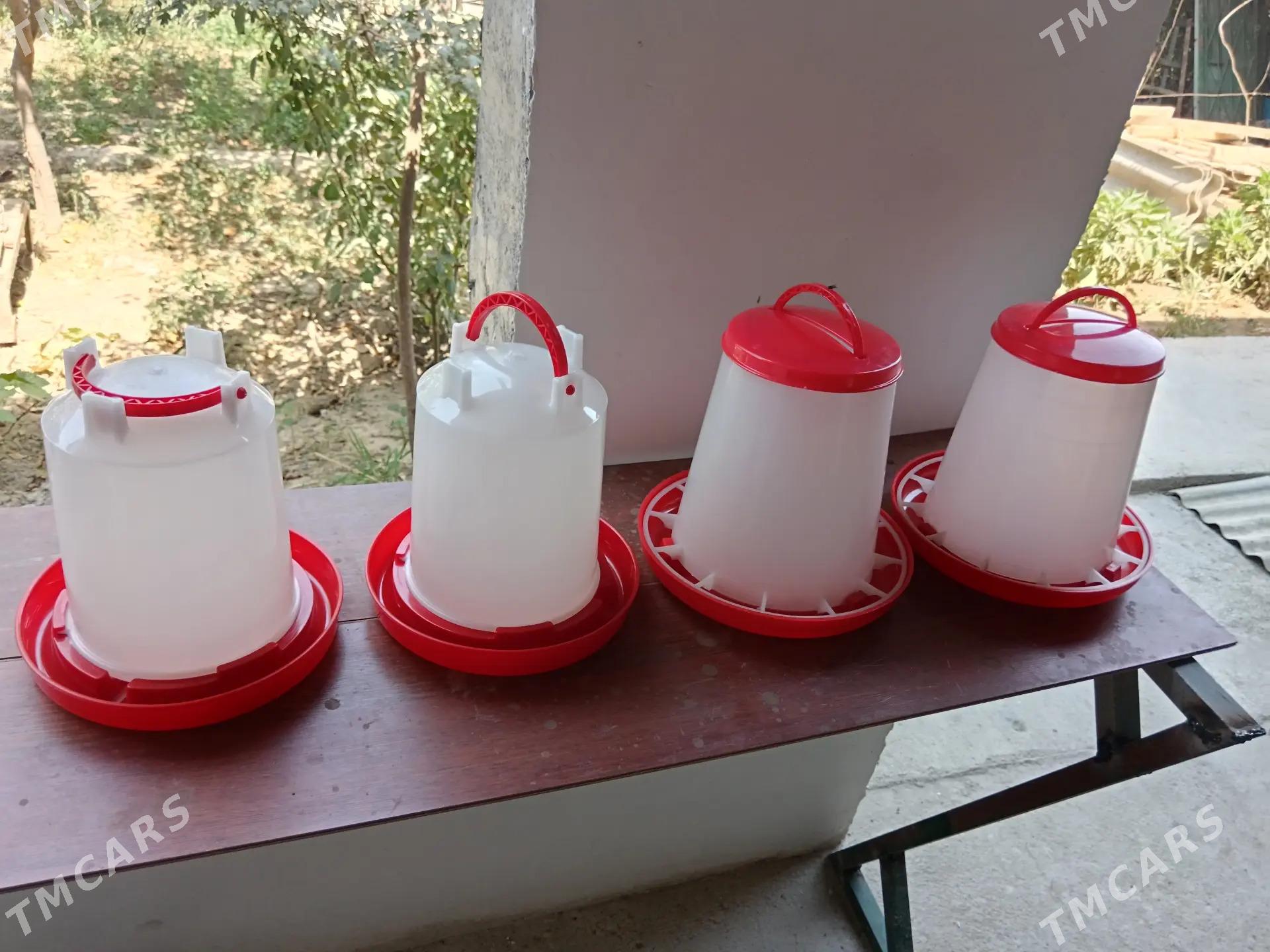 Suw, iým berilýän täze - Багир - img 3