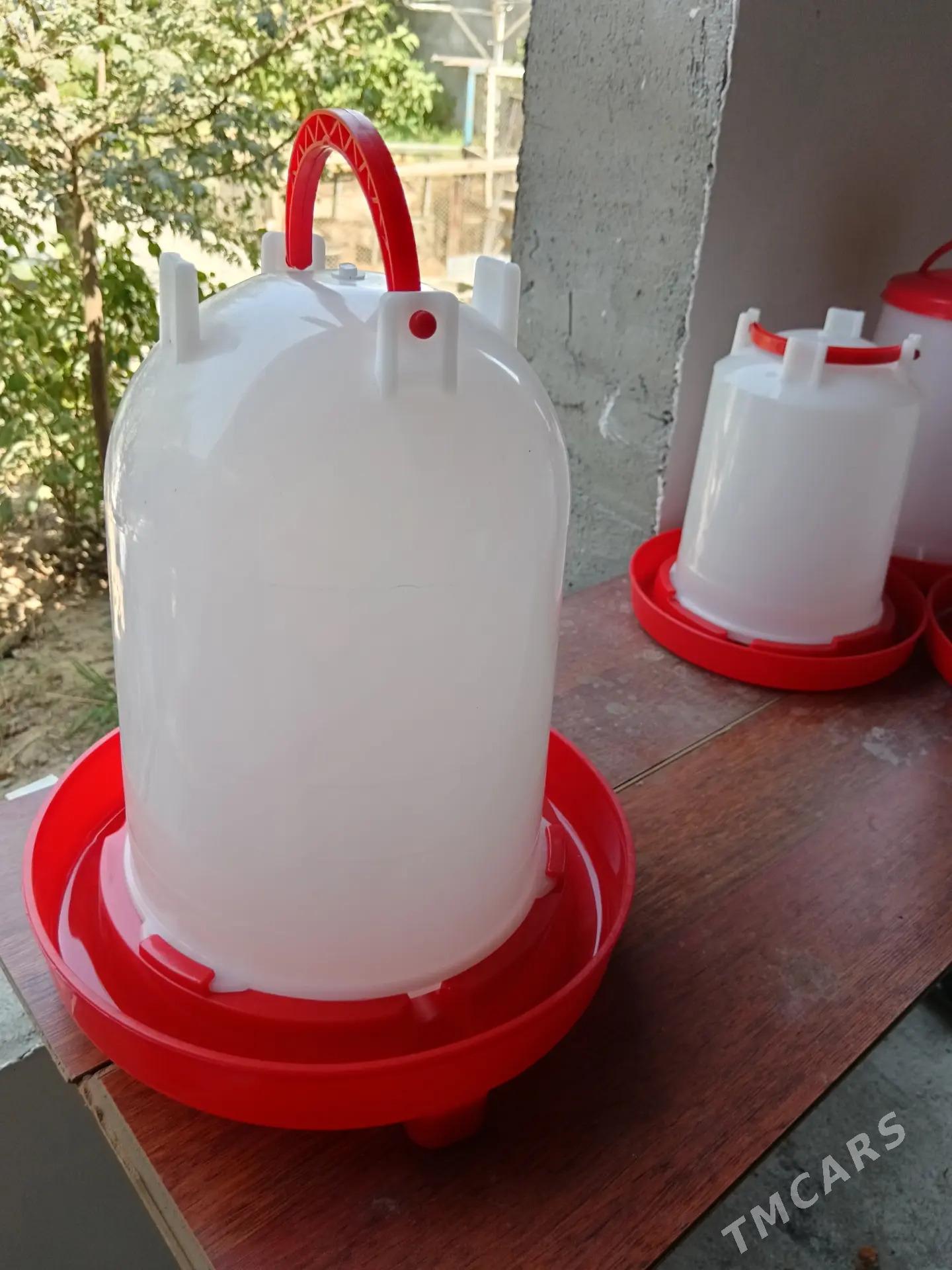 Suw, iým berilýän täze - Багир - img 1