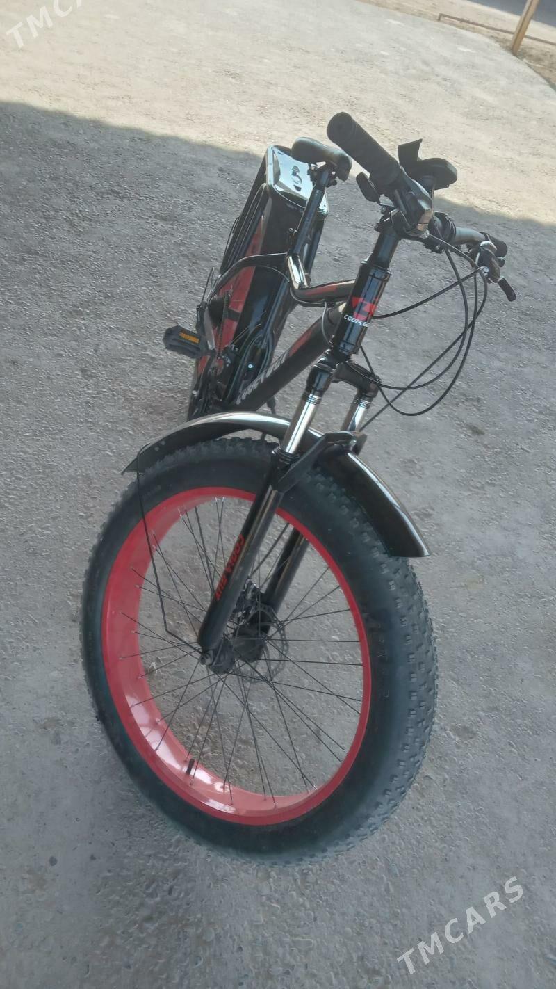 welisepod - Murgap - img 1