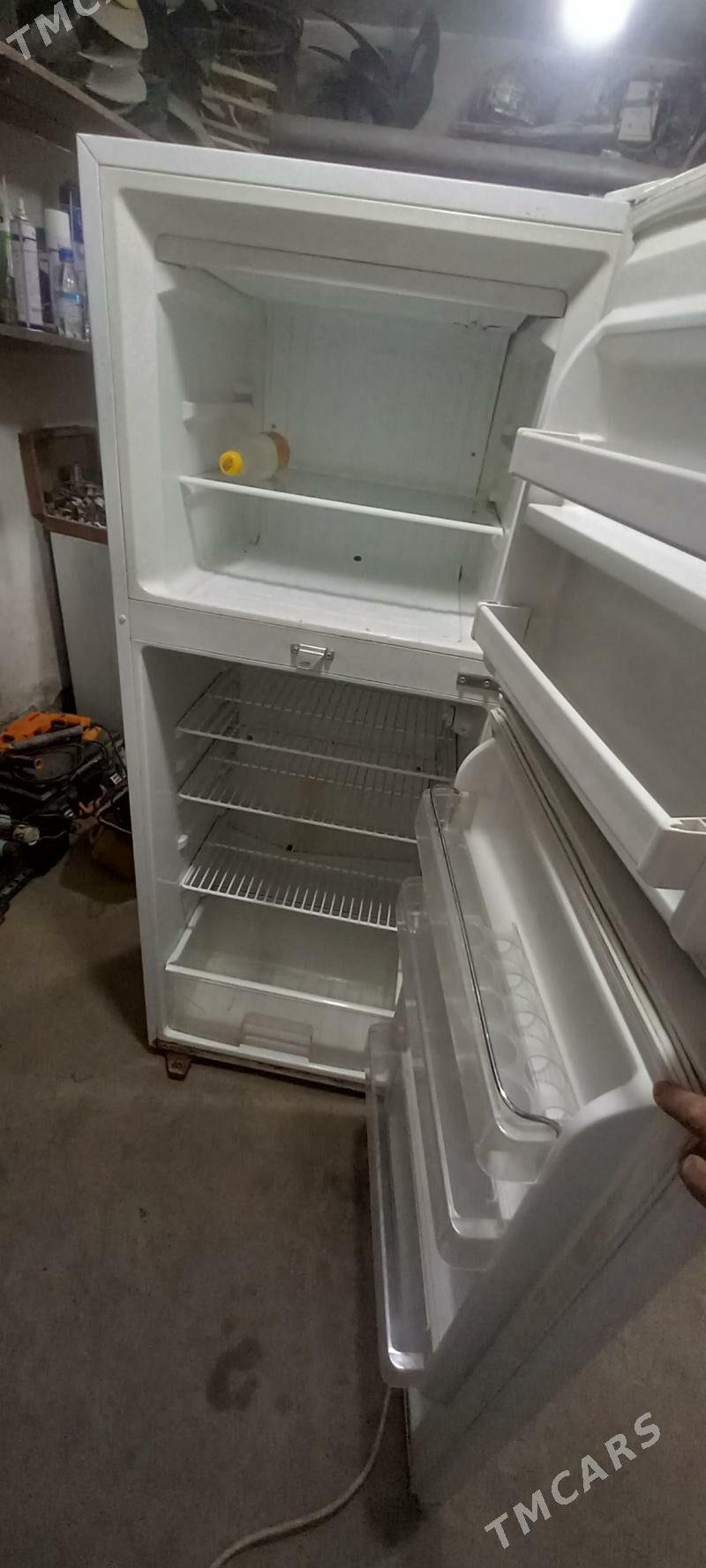 new genial - Mary - img 2