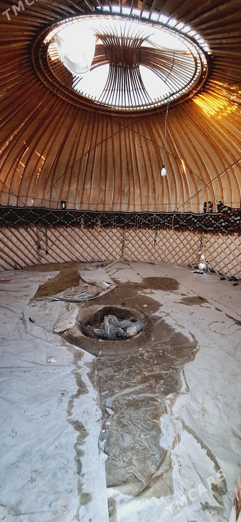 gara ak oy - Gökdepe - img 4