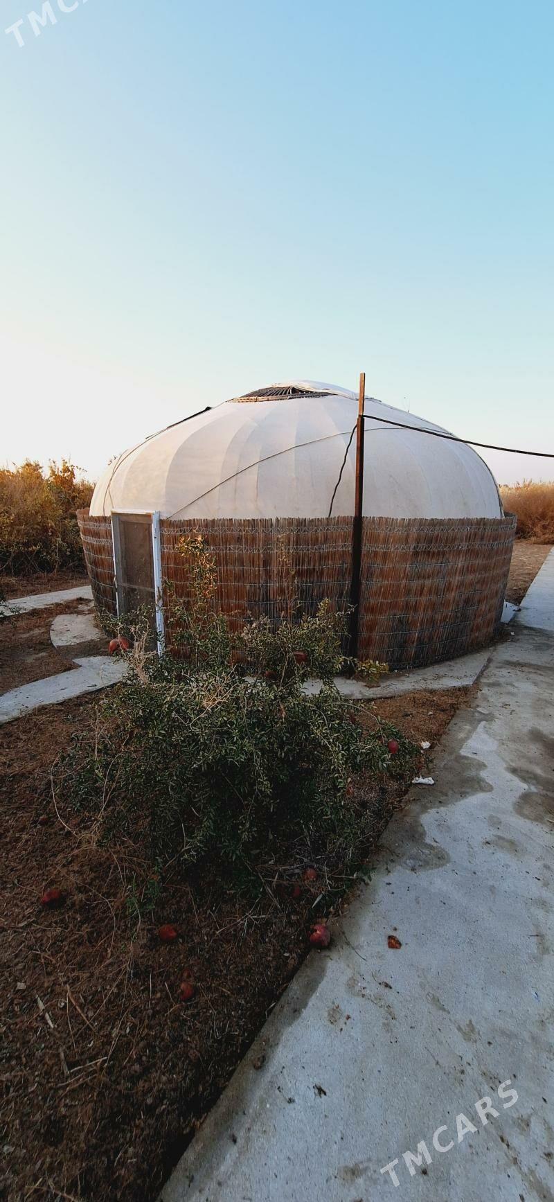 gara ak oy - Gökdepe - img 1