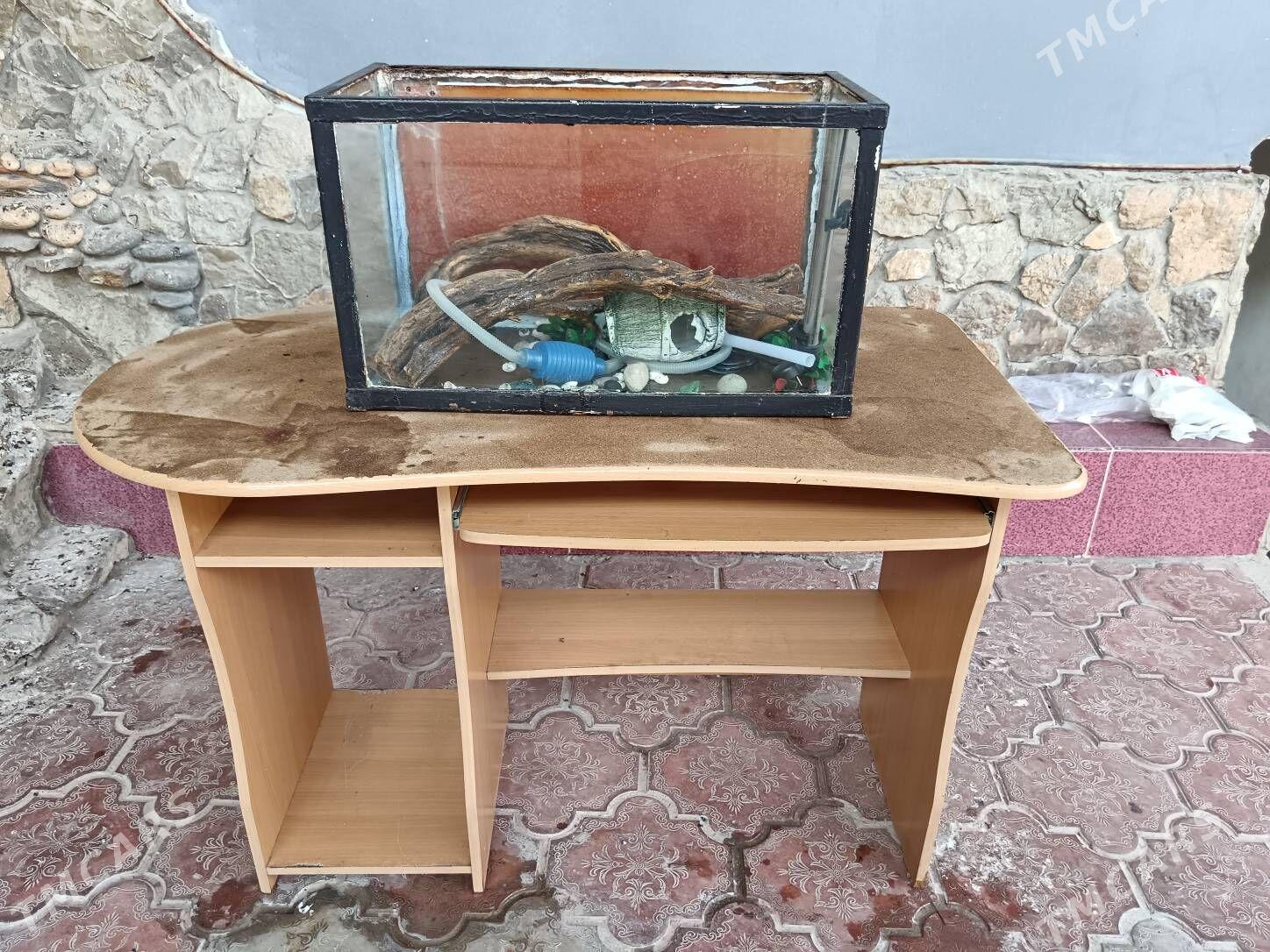 Stol, Akwariyum bilen zatlary - Bagyr - img 2
