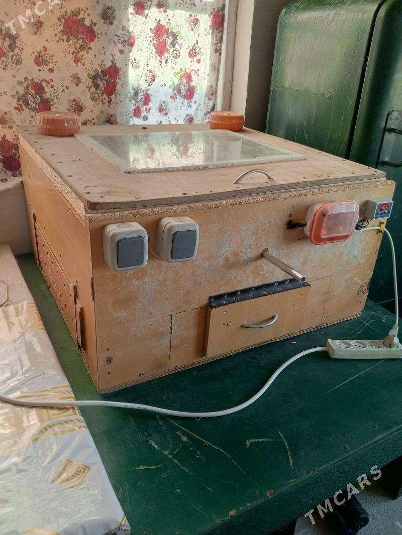 жуйже чыкарылян энжам. - Gökdepe - img 3