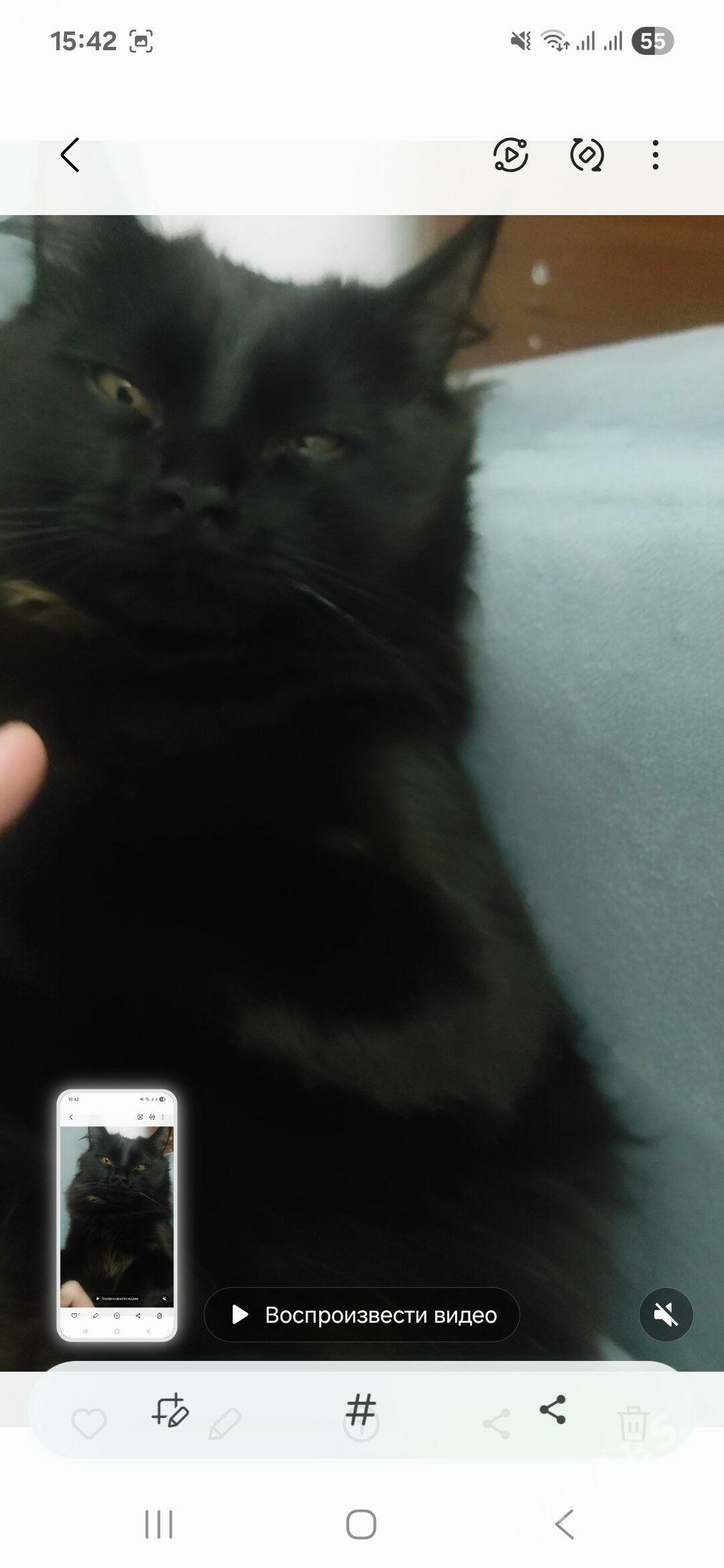 PISIK GARA - Дашогуз - img 2