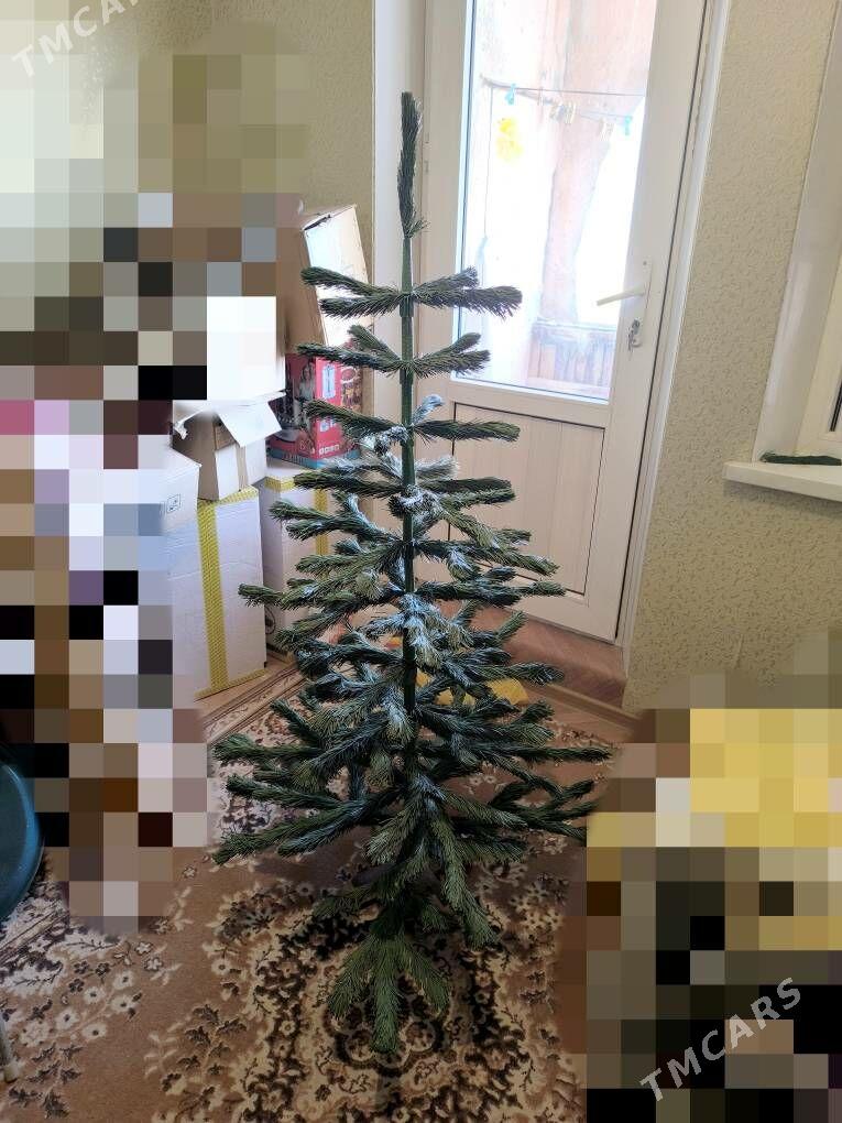 Ёлки - Ашхабад - img 2