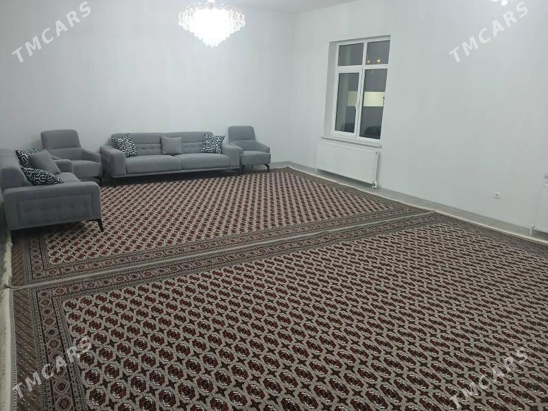 Haly Kredit 6-12-24 ay cenli - Änew - img 9