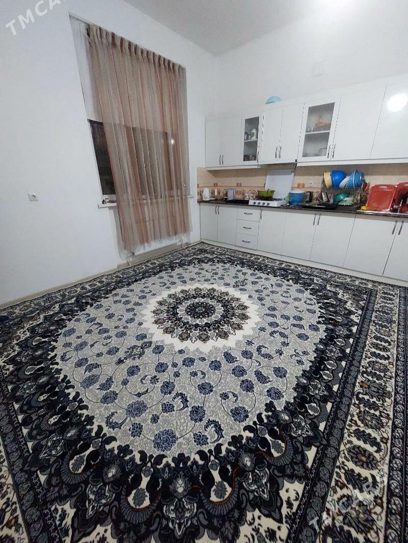 Haly Kredit 6-12-24 ay cenli - Änew - img 10