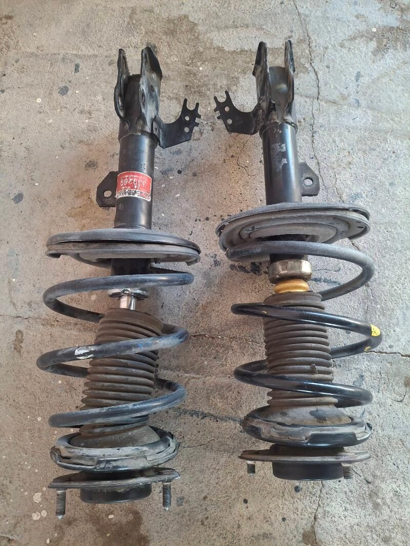 Palta amatsator 350 TMT - Багир - img 1