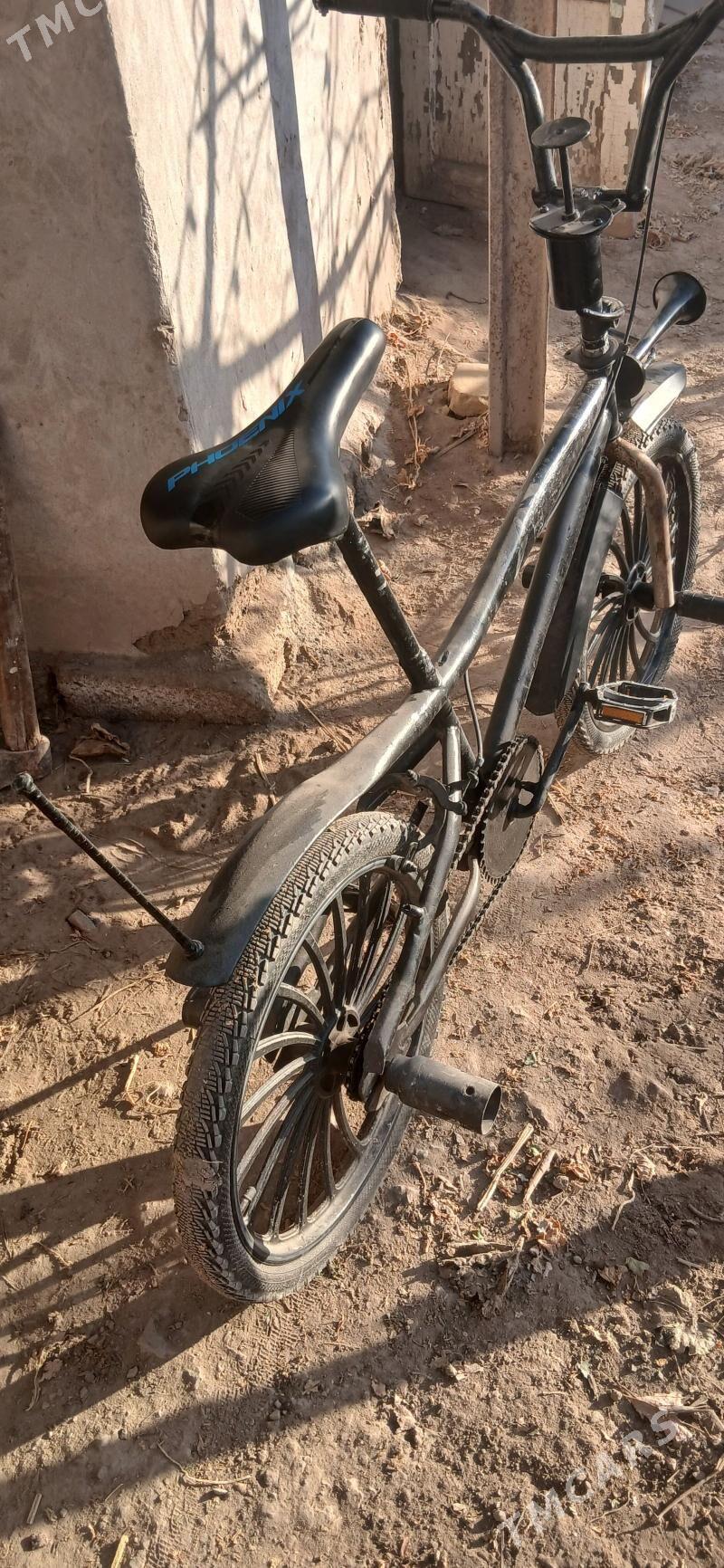 Rambo wilik - Boldumsaz - img 4