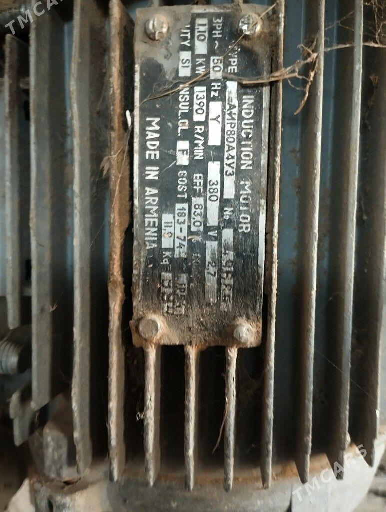 ot uweyan masyn - Ýalkym - img 2