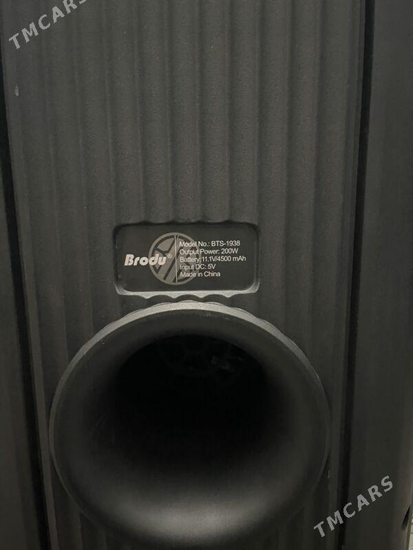 Brodu 1938 kalonka - Aşgabat - img 10