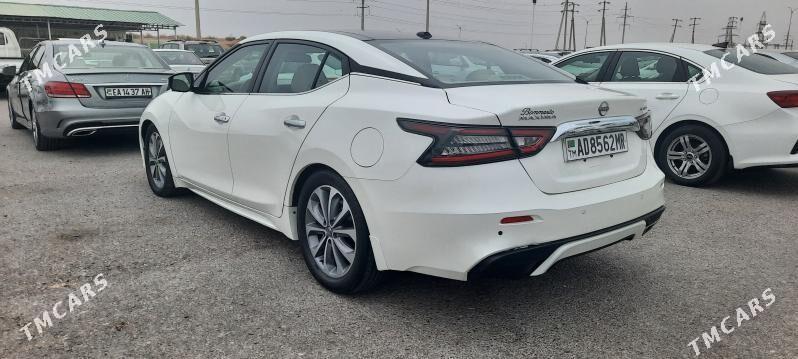 Nissan Maxima 2023 - 275 000 TMT - Ашхабад - img 3