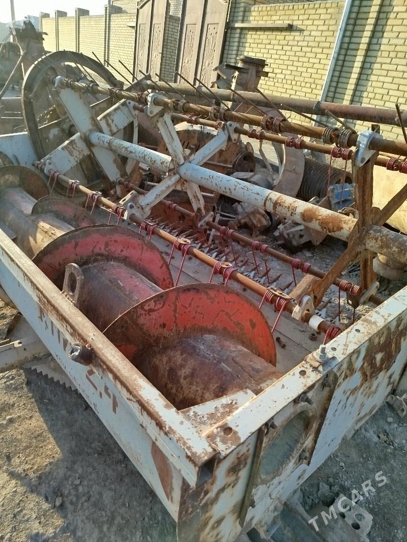 Kipi Žatka - Мары - img 2