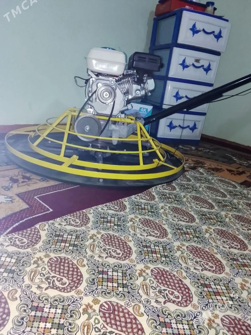 Aligoptyr - Mary - img 2