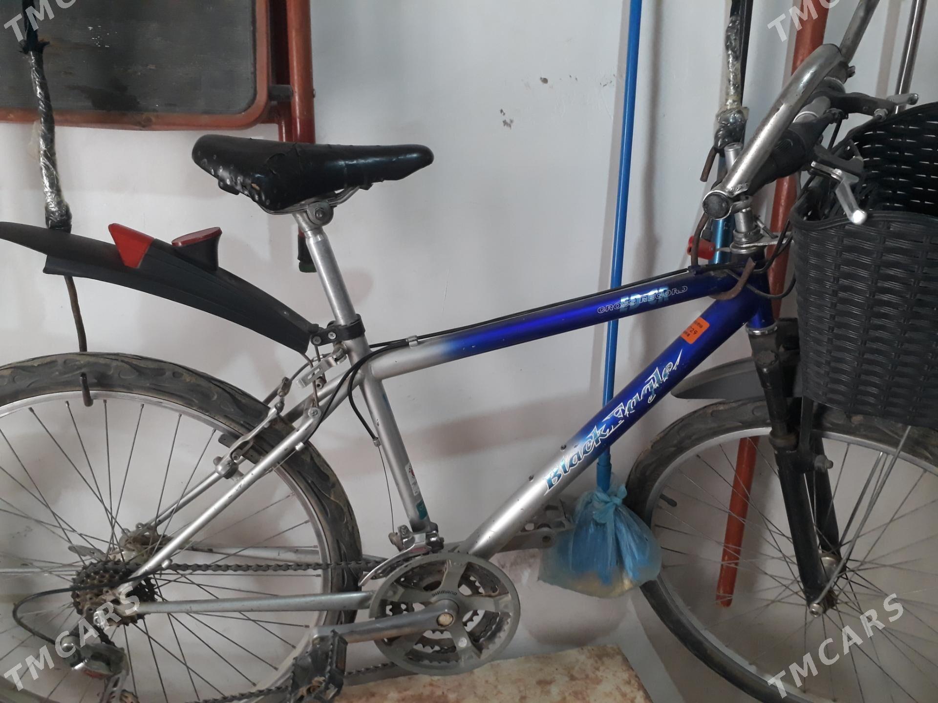 welsebit - Mary - img 1