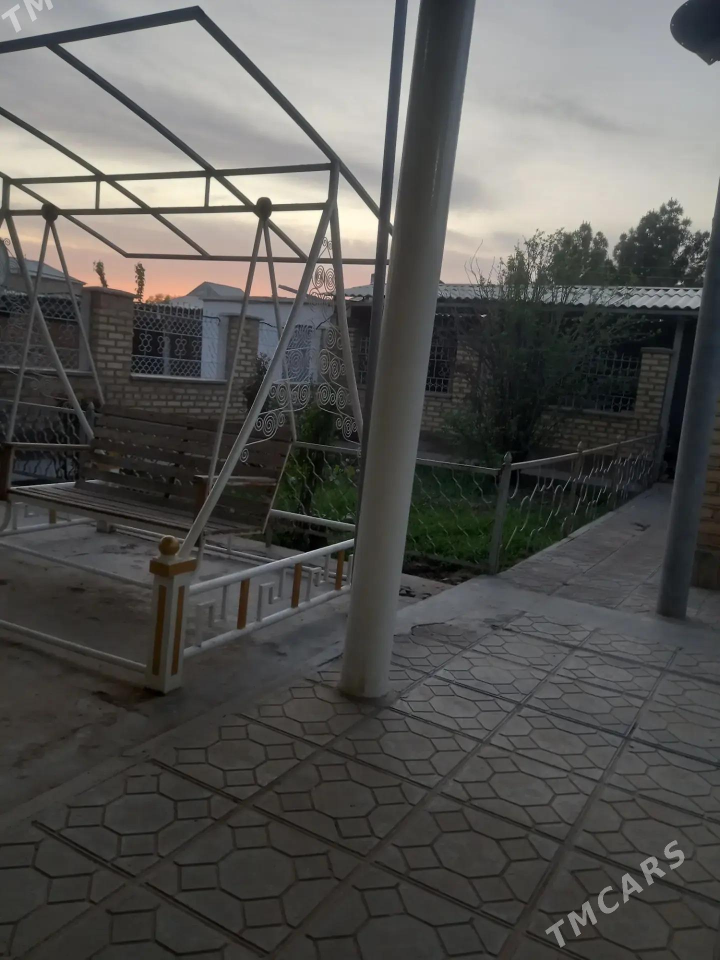 Jay jay - Tejen - img 1