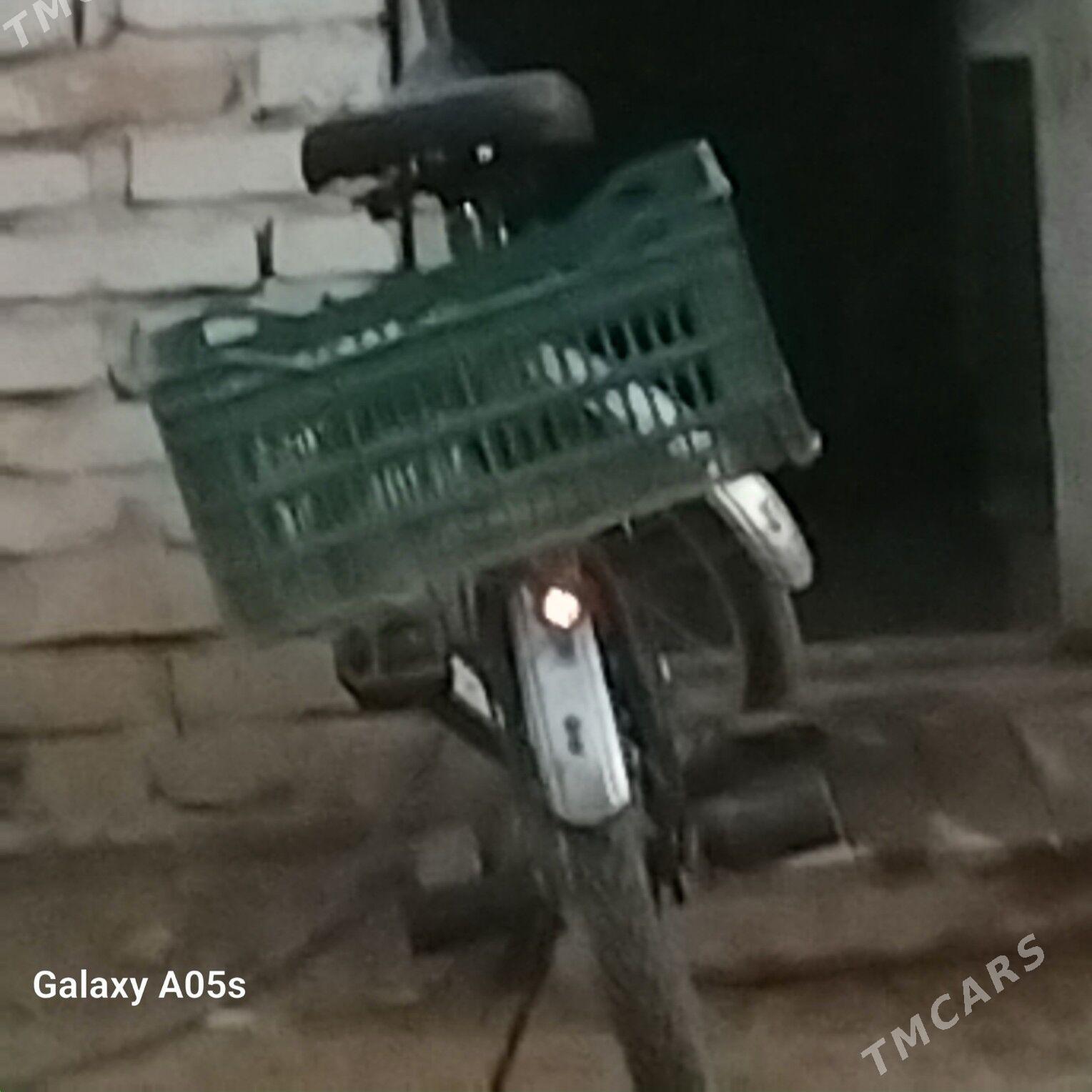 welisoped - Boldumsaz - img 3