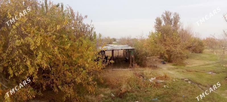 Gekdar - Ýalkym - img 2