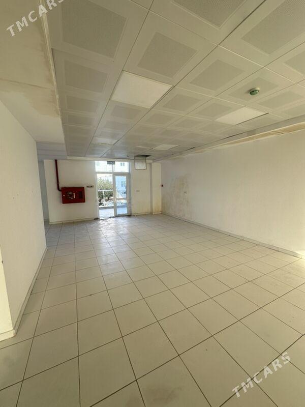 gurtly magazyn hususy - Gurtly - img 2