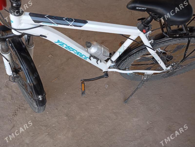 Spartiwinni wolspet - Saýat - img 1