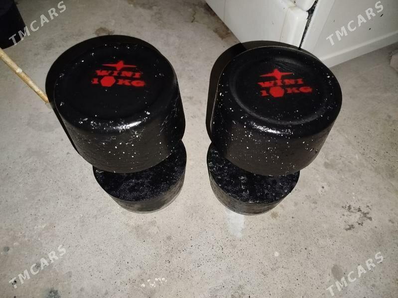 Гантель 10 кг - Mary - img 1