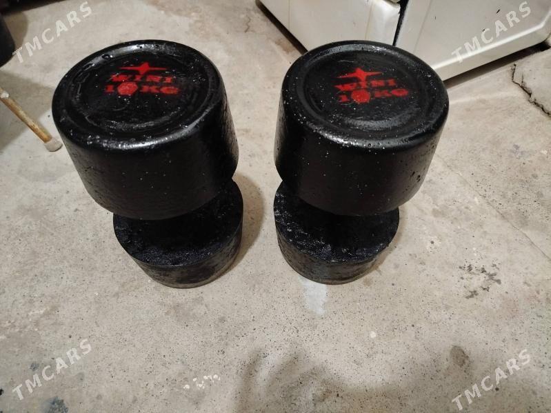 Гантель 10 кг - Mary - img 4