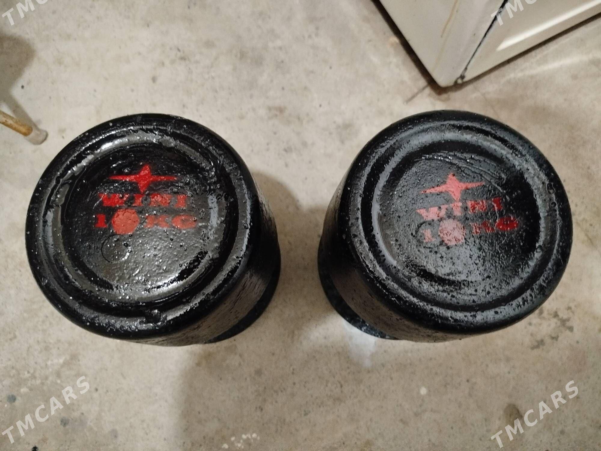 Гантель 10 кг - Mary - img 2