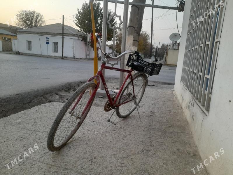 tigir - Bäherden - img 2